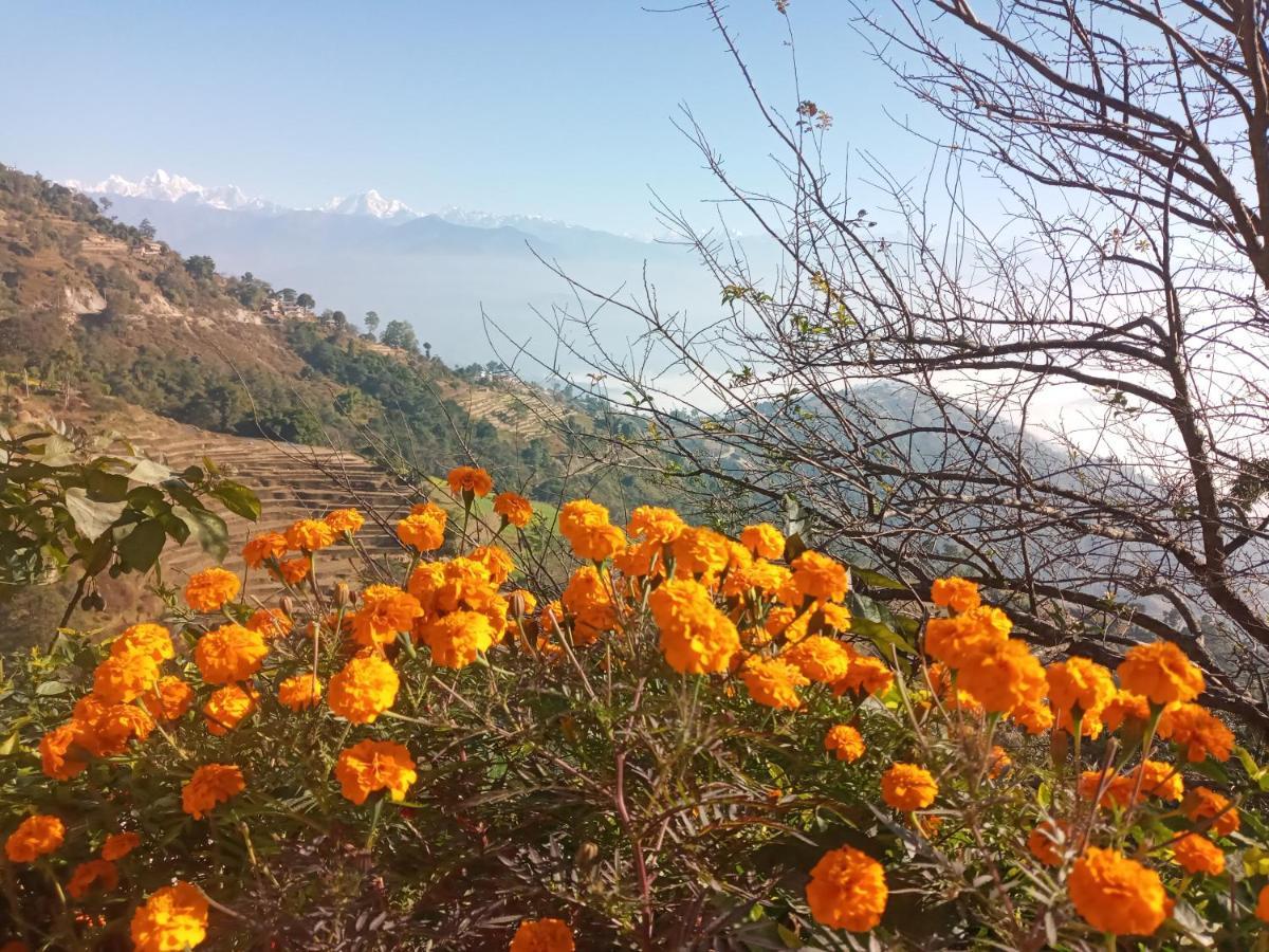 Unique Point Home Stay Nagarkot Zewnętrze zdjęcie
