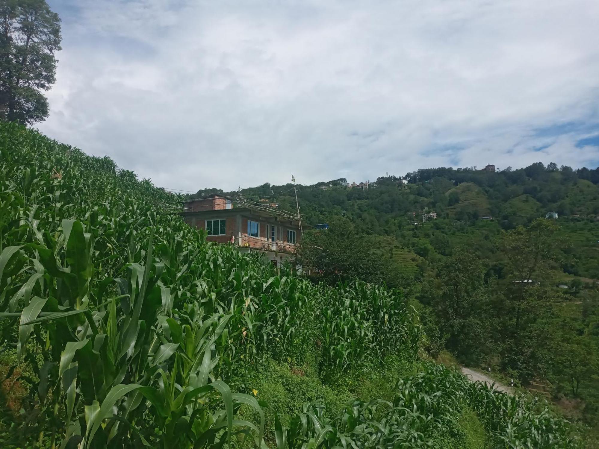 Unique Point Home Stay Nagarkot Zewnętrze zdjęcie