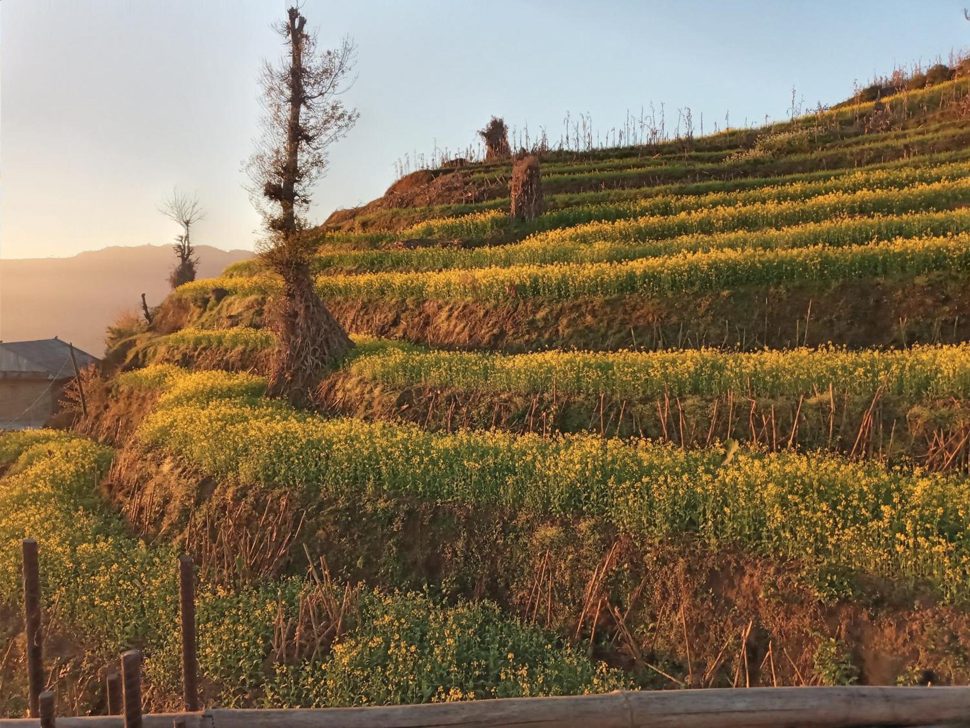 Unique Point Home Stay Nagarkot Zewnętrze zdjęcie