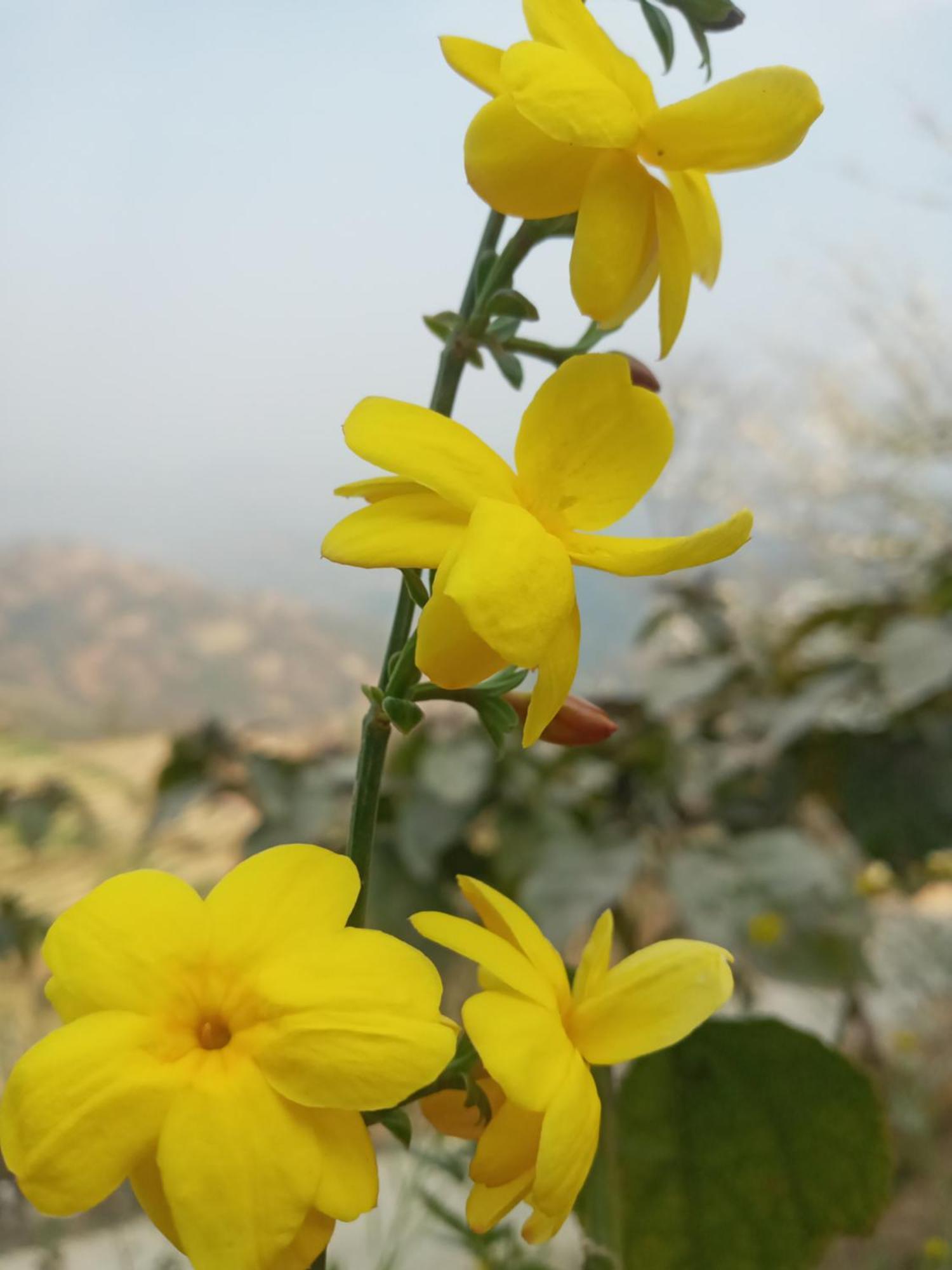 Unique Point Home Stay Nagarkot Zewnętrze zdjęcie