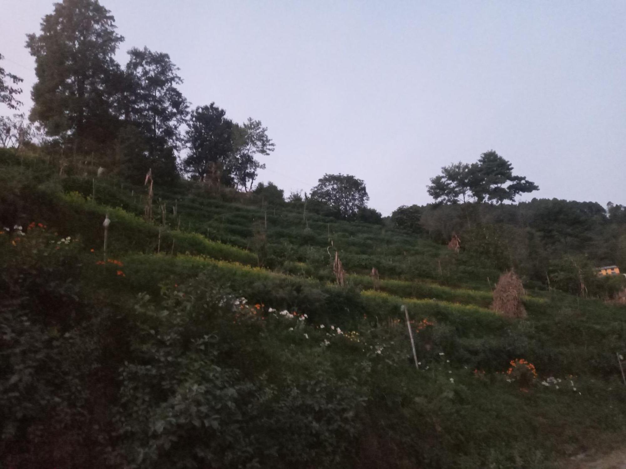 Unique Point Home Stay Nagarkot Zewnętrze zdjęcie